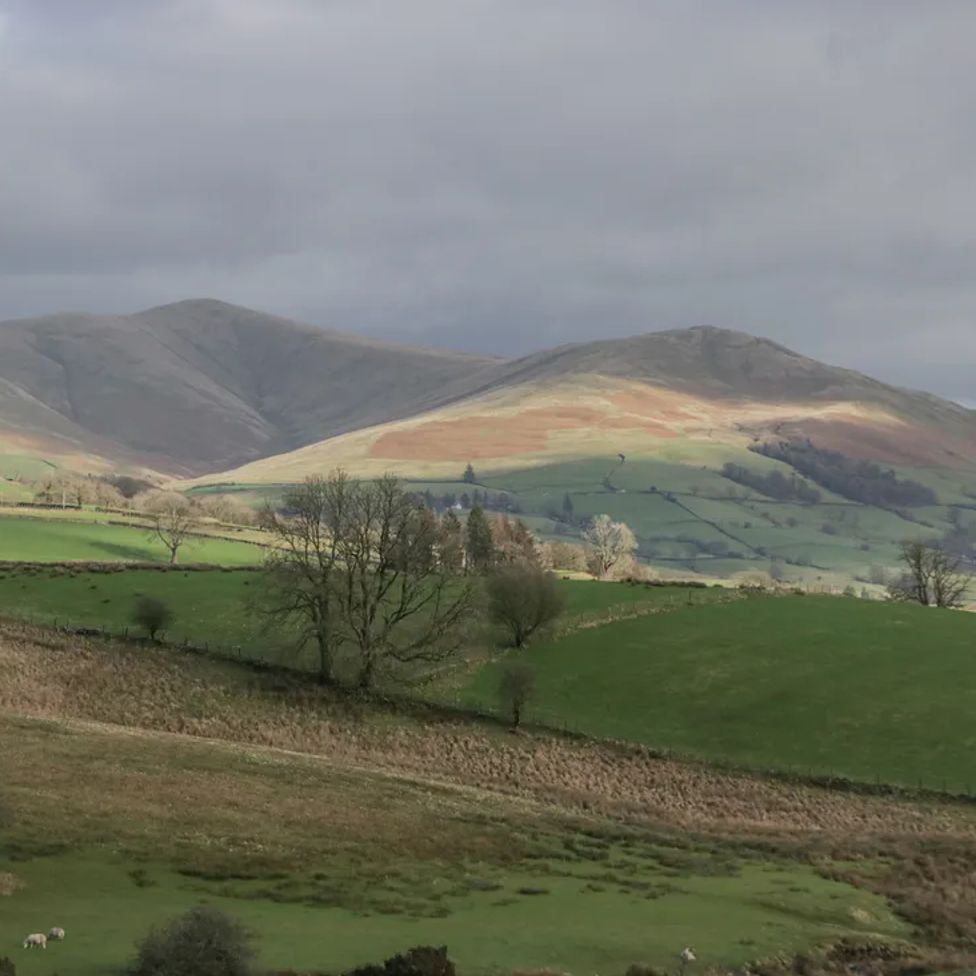 A countryside landscape with rolling hills fields trees and sheep at The Old Cart House in Garsdale near Sedbergh