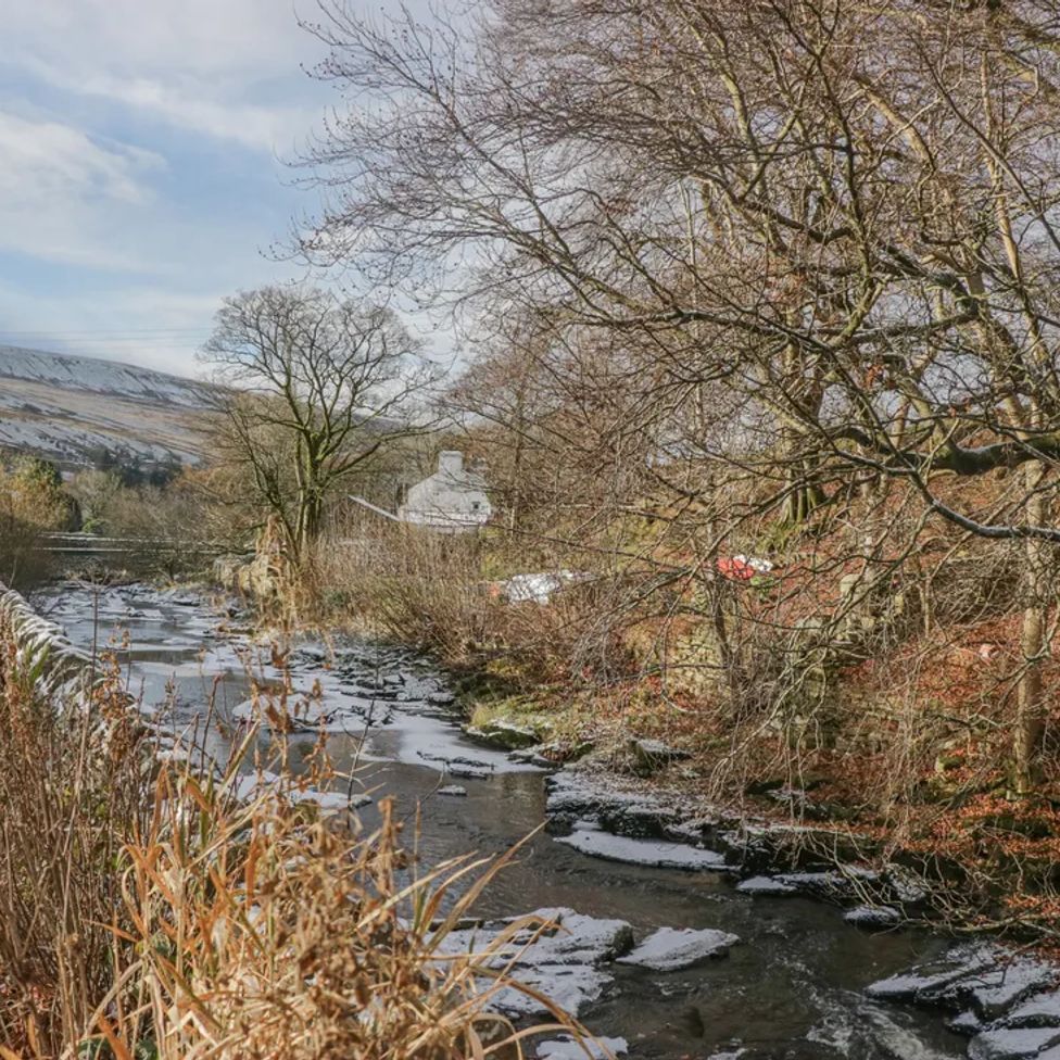 A river flowing alongside a road with leafless trees and a house in the background at The Old Cart House in Garsdale near Sedbergh