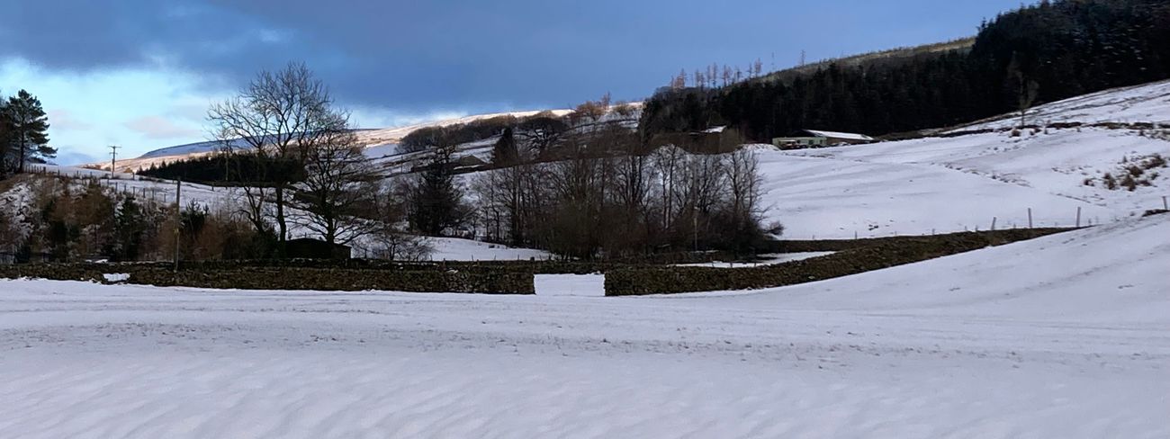 Garsdale in winter with snow-covered fields and dry stone walls