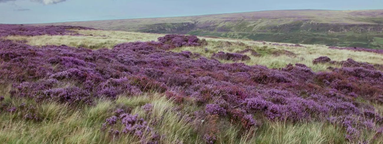 Scenic view of Garsdale in the Yorkshire Dales